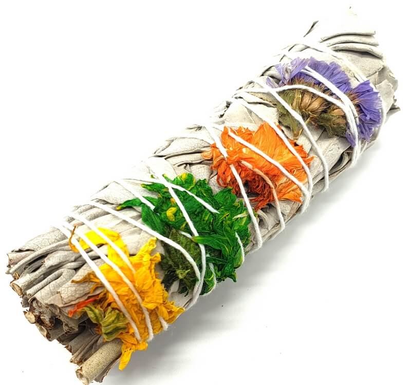 Sauge Blanche 'Positive Vibes' 30g 10cm