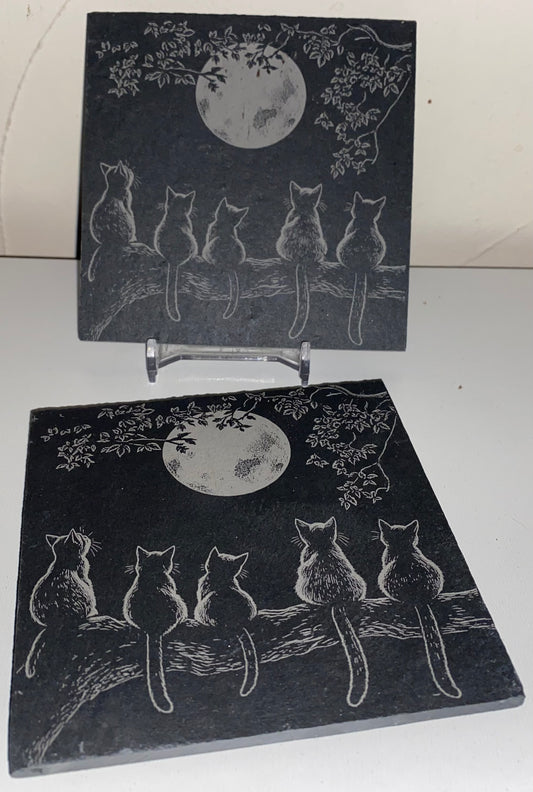 Sous verre chats pleine lune